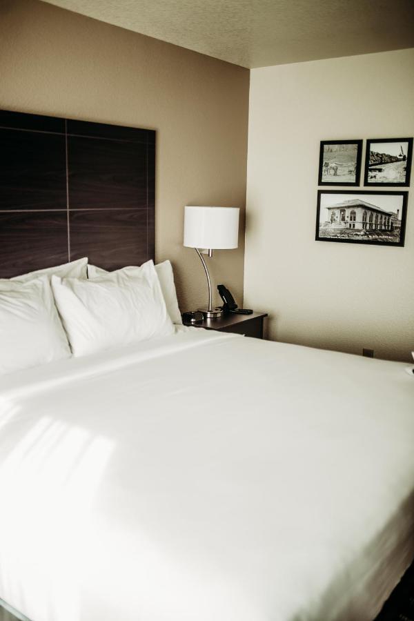 Cobblestone Hotel & Suites إنترناشونال فولز المظهر الخارجي الصورة